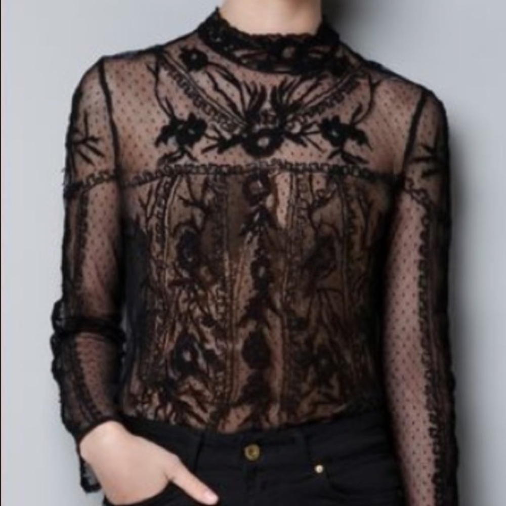 ISO ZARA LACE EMBROIDERED SWISS DOT FLOWERS TOP - Picture 2 of 5